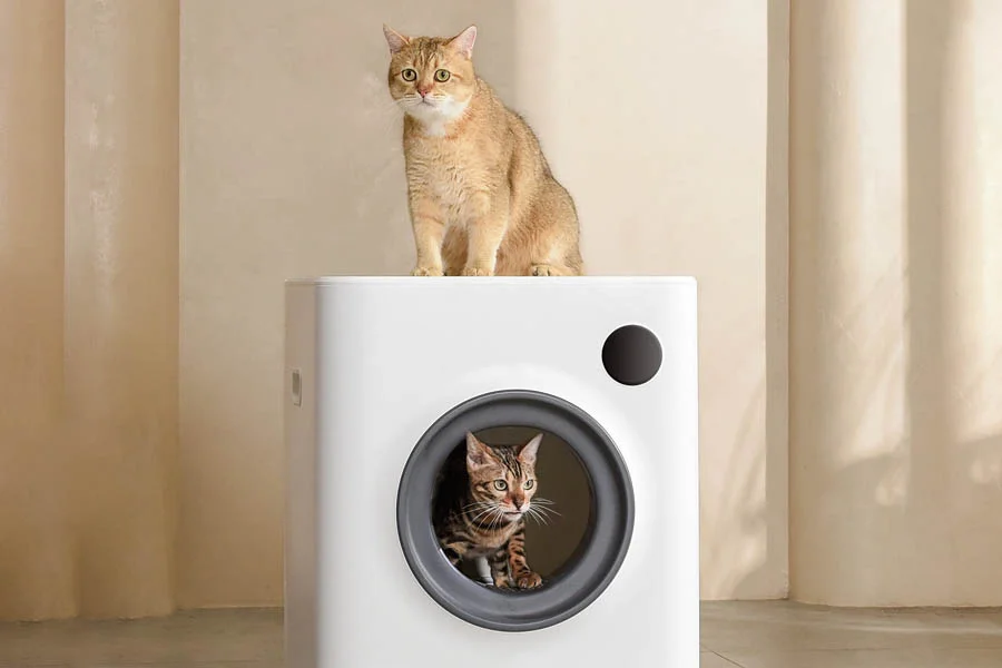 best automatic litter boxes for cats